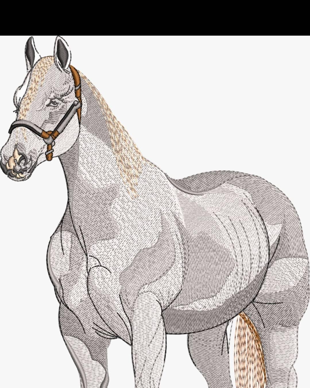 Da imagem real para o ponto perfeito!